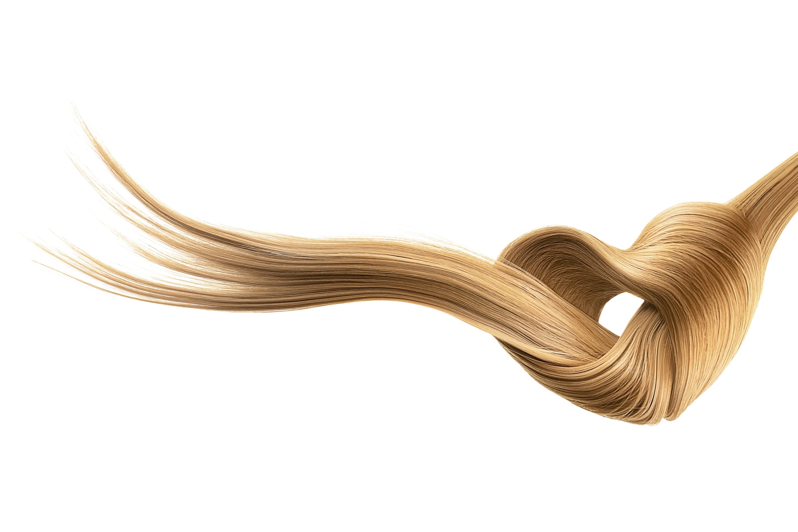 hair knot
